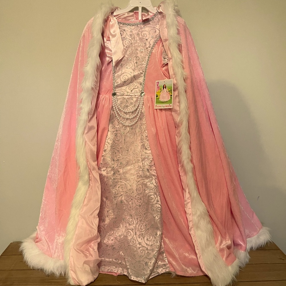 NWT princess dress costume